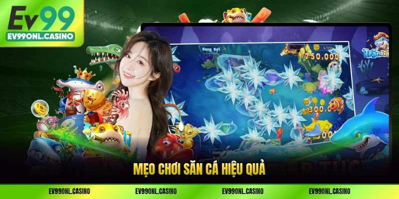 Mẹo chơi săn cá hiệu quả