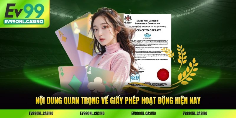 Nội dung quan trọng về giấy phép hoạt động hiện nay