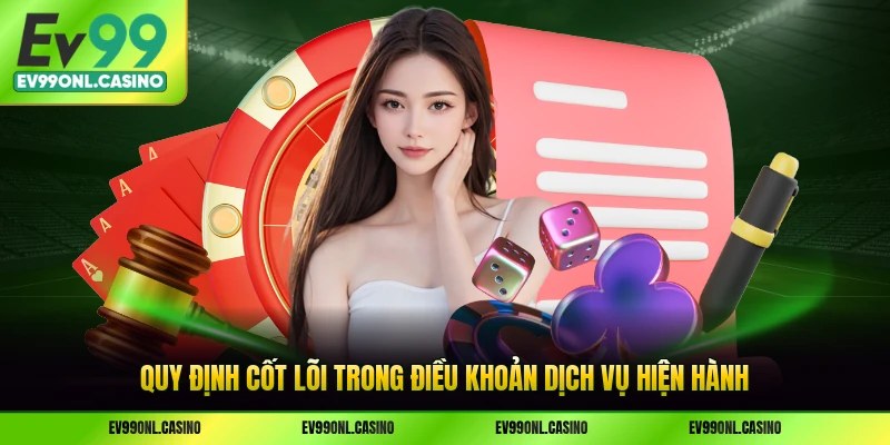 Quy định cốt lõi trong điều khoản dịch vụ hiện hành
