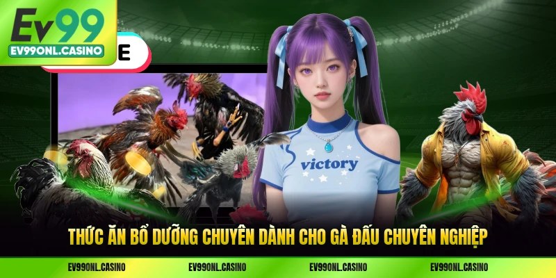 Thức ăn bổ dưỡng chuyên dành cho gà đấu chuyên nghiệp